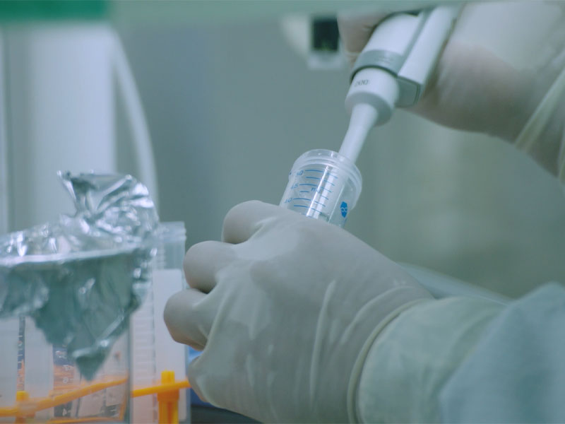 মার্কিন যুক্তরাষ্ট্রে ক্লিনিকাল ট্রায়ালের জন্য আন্তর্জাতিকভাবে বিপণিত পণ্যের আবেদনের তুলনায় Mrna Rsv ভ্যাকসিনের হিউমোরাল এবং সেলুলার ইমিউনিটি উল্লেখযোগ্যভাবে বেশি ছিল।