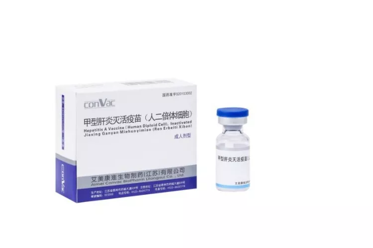 Hepatitis A Vaccine for Adult